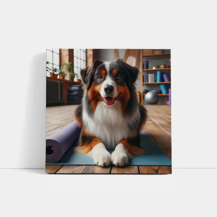 Australian Shepherd Dog on Yoga Mat