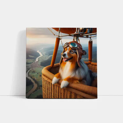 Australian Shepherd Pilot Hot Air Balloon