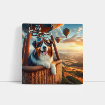 Australian Shepherd Pilot Hot Air Balloon Sky