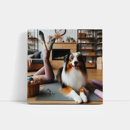 Australian Shepherd Dog Yoga Home Interior