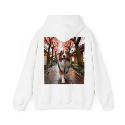 Australian Shepherd Walking Japanese Street Cherry Blossoms