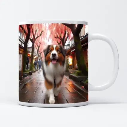 Australian Shepherd Walking Japanese Street Cherry Blossoms