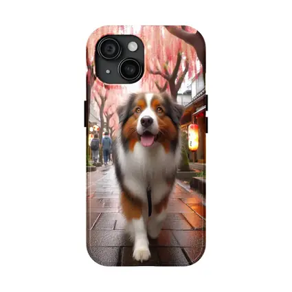 Australian Shepherd Walking Japanese Street Cherry Blossoms