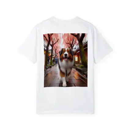 Australian Shepherd Walking Japanese Street Cherry Blossoms