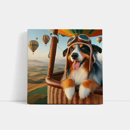 Australian Shepherd Pilot Hot Air Balloon