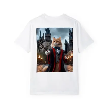 Orange Cat Wizard Robes Magic Castle