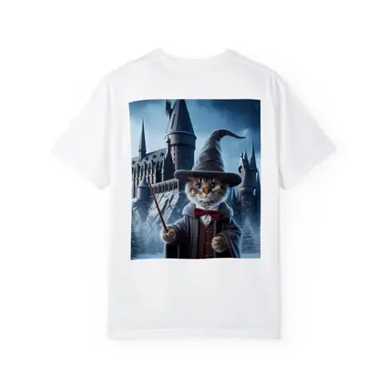 Wizard Cat Winter Castle Fantasy Art