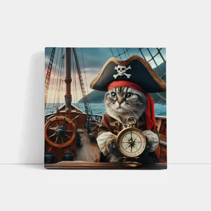 Pirate Cat With Compass On Ship