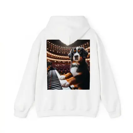 Bernese Mountain Dog Playing Piano Concert Hall