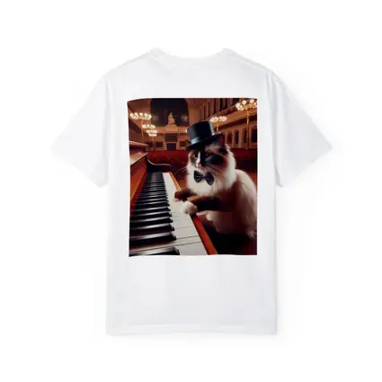 Ragdoll Cat Playing Piano Concert Hall