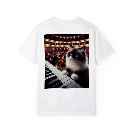Ragdoll Cat Playing Piano Concert Hall