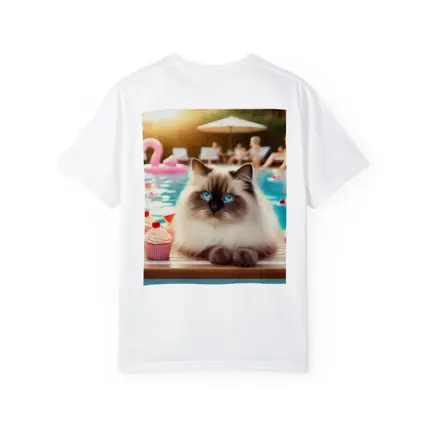 Birman Cat Blue Eyes Pool Party Summer