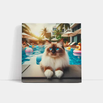 Ragdoll Cat Relaxing By Resort Pool