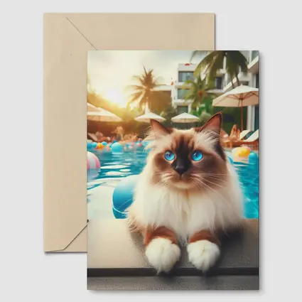 Ragdoll Cat Relaxing By Resort Pool