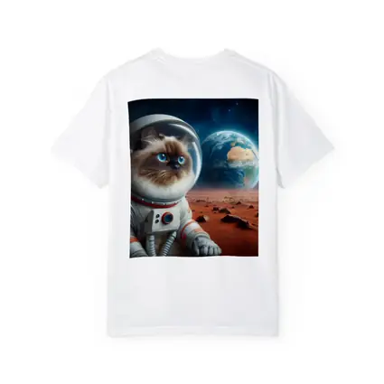 Ragdoll Cat Astronaut On Mars Surface