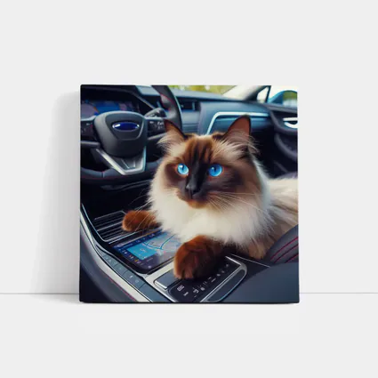 Birman Cat Sitting Inside Car Interior