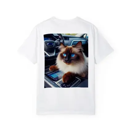 Birman Cat Sitting Inside Car Interior