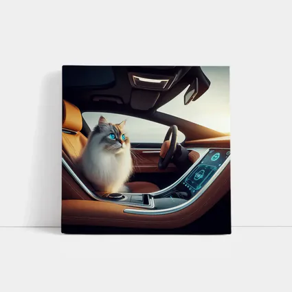 Ragdoll Cat Sitting Inside Luxury Car