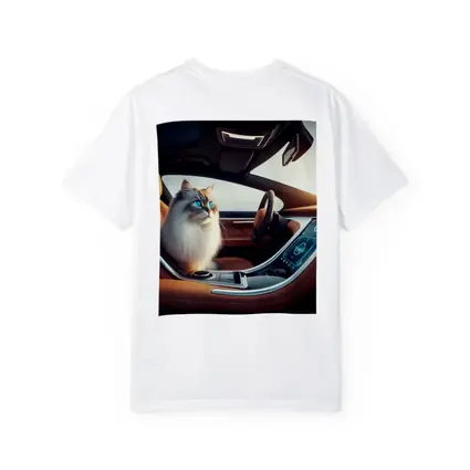 Ragdoll Cat Sitting Inside Luxury Car
