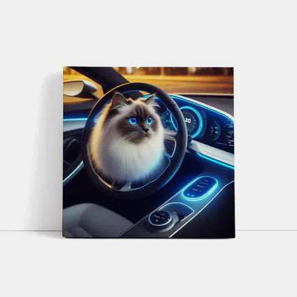 Ragdoll Cat Sitting Inside Futuristic Car