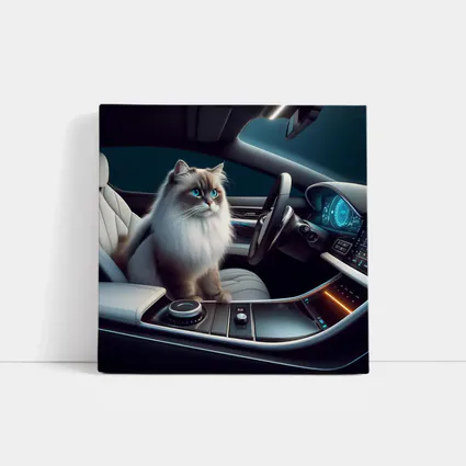 Ragdoll Cat Inside Luxury Car Interior