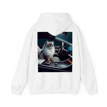 Ragdoll Cat Inside Luxury Car Interior
