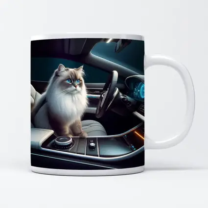 Ragdoll Cat Inside Luxury Car Interior