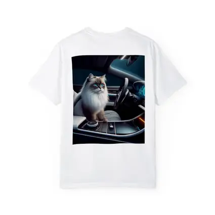 Ragdoll Cat Inside Luxury Car Interior