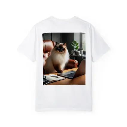 Birman Cat Sitting At Office Desk