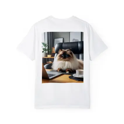 Himalayan Cat Sitting at Office Desk