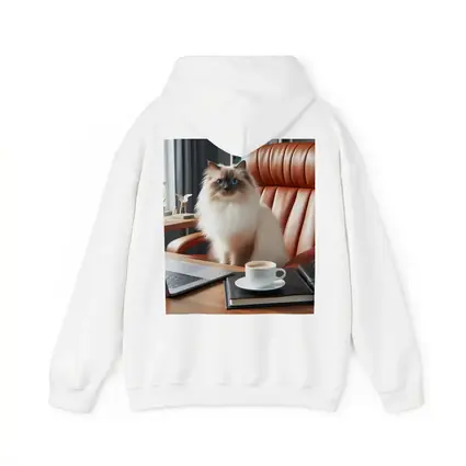 Birman Cat Blue Eyes Office Desk