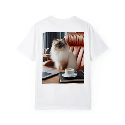 Birman Cat Blue Eyes Office Desk