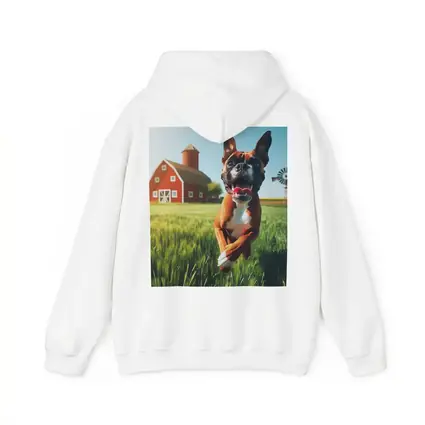 Happy Boxer Dog Running On Farm Field