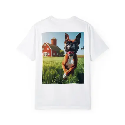 Happy Boxer Dog Running On Farm Field