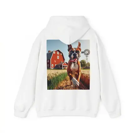 Boxer Dog Running Through Farm Wheat Field