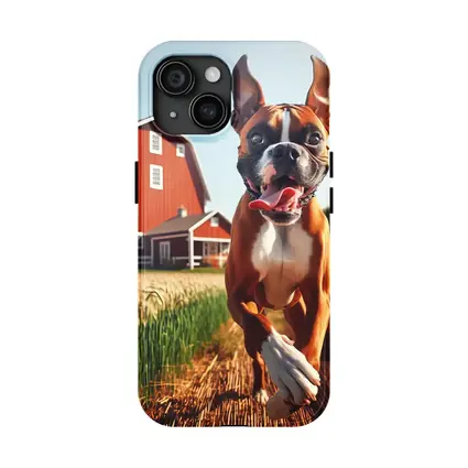 Boxer Dog Running Through Farm Wheat Field