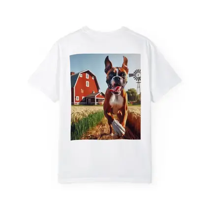 Boxer Dog Running Through Farm Wheat Field