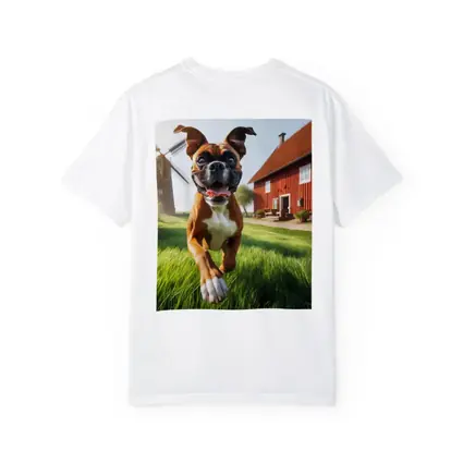 Boxer Dog Running On Green Farm Grass