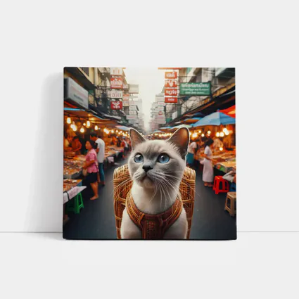 Siamese Cat at Bangkok Thailand Street Market