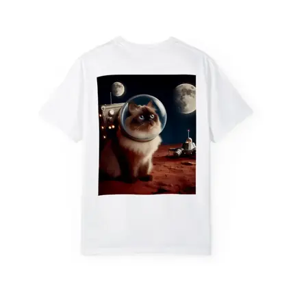Himalayan Cat Astronaut Space Moon Surface