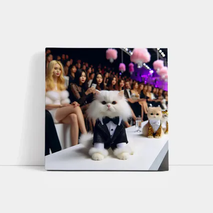Persian Cat Tuxedo Fashion Show Runway