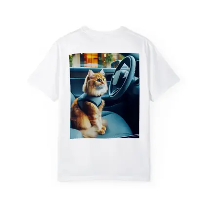 Orange Cat Sitting Inside Modern Car
