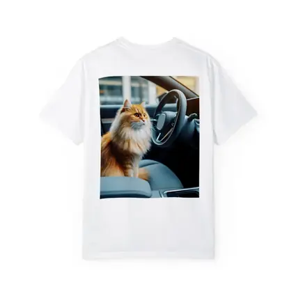 Orange Fluffy Cat Inside Modern Car