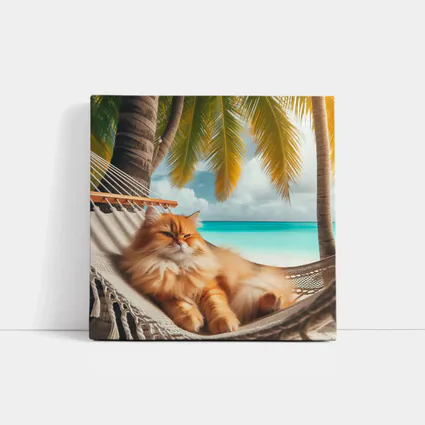 Orange Long Hair Cat Relaxing Tropical Beach