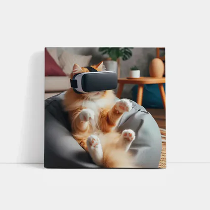 Orange Cat VR Headset Bean Bag