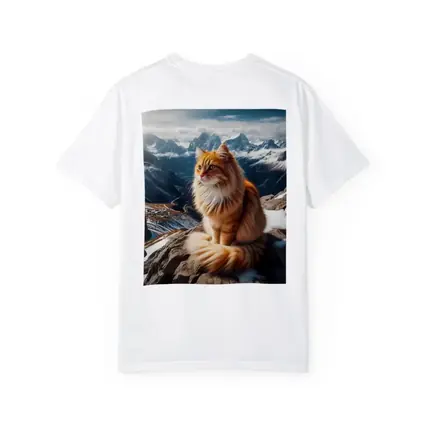 Orange Long Hair Cat Snowy Mountain Summit