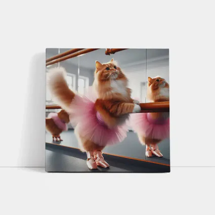 Orange Cat Ballerina Pink Tutu Dance Studio