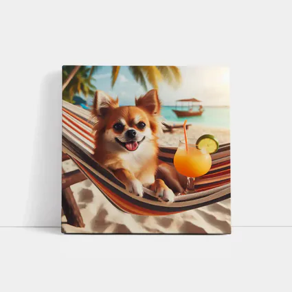 Chihuahua Relaxing On Beach Hammock Cocktail