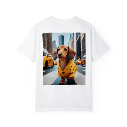 Dachshund Yellow Coat New York City Street