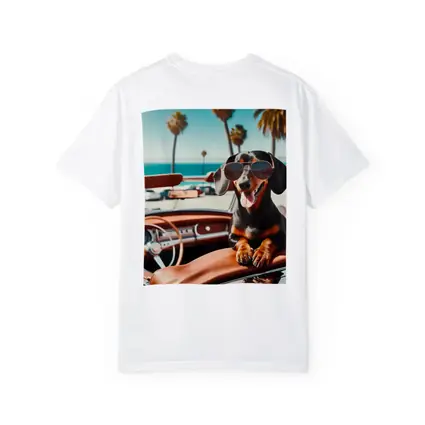 Dachshund Wearing Sunglasses in Convertible Car